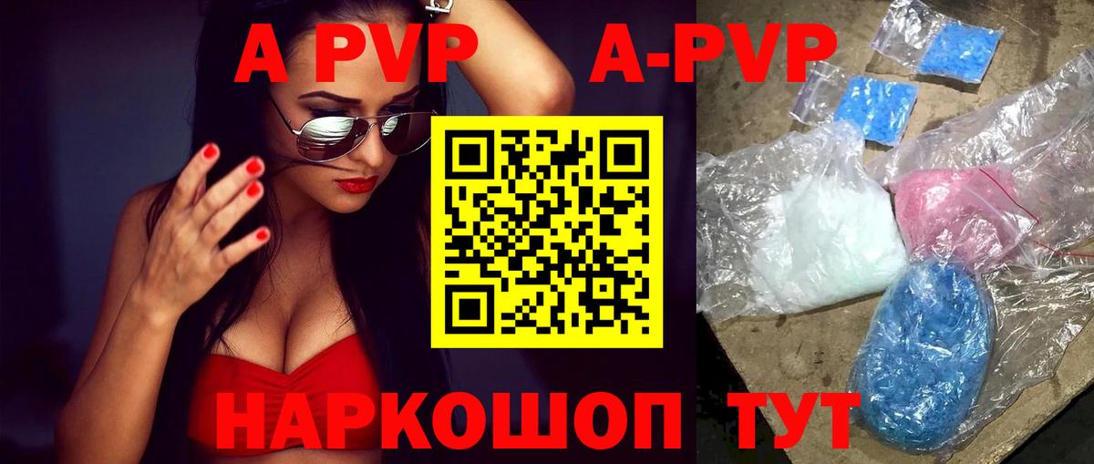 APVP СК КРИС  Alfa_PVP СК КРИС  Майкоп  что такое   Вход с VPN 