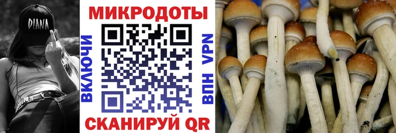 MEGA ССЫЛКА  Майкоп  Псилоцибиновые грибы Psilocybe 