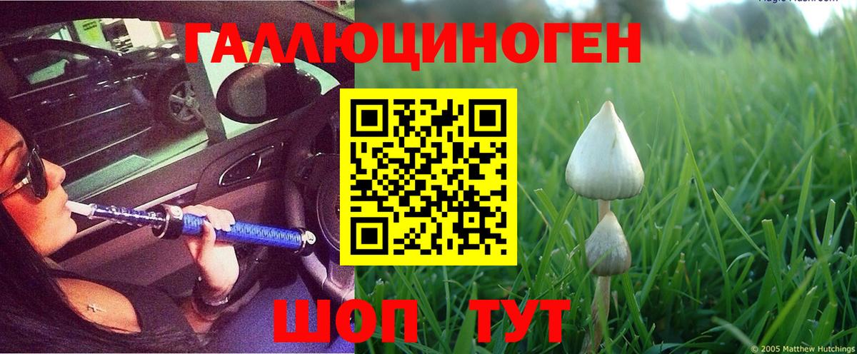 Псилоцибиновые грибы GOLDEN TEACHER  Псилоцибиновые грибы мицелий  Вход с VPN  Майкоп 