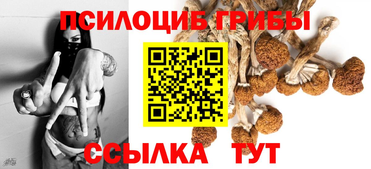 Галлюциногенные грибы ЛСД Майкоп